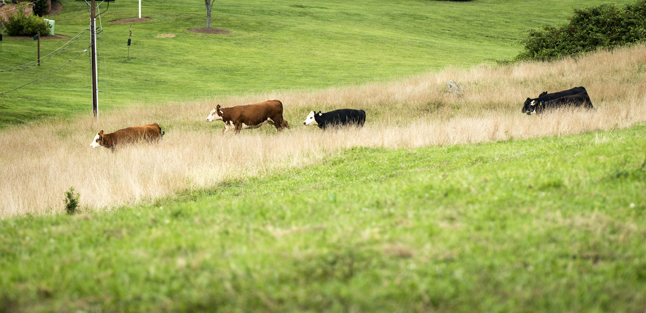 childrensfarm